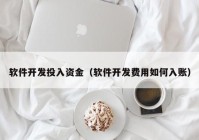 软件开发投入资金（软件开发费用如何入账）