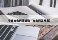 专业宝安网站建设（宝安网站开发）